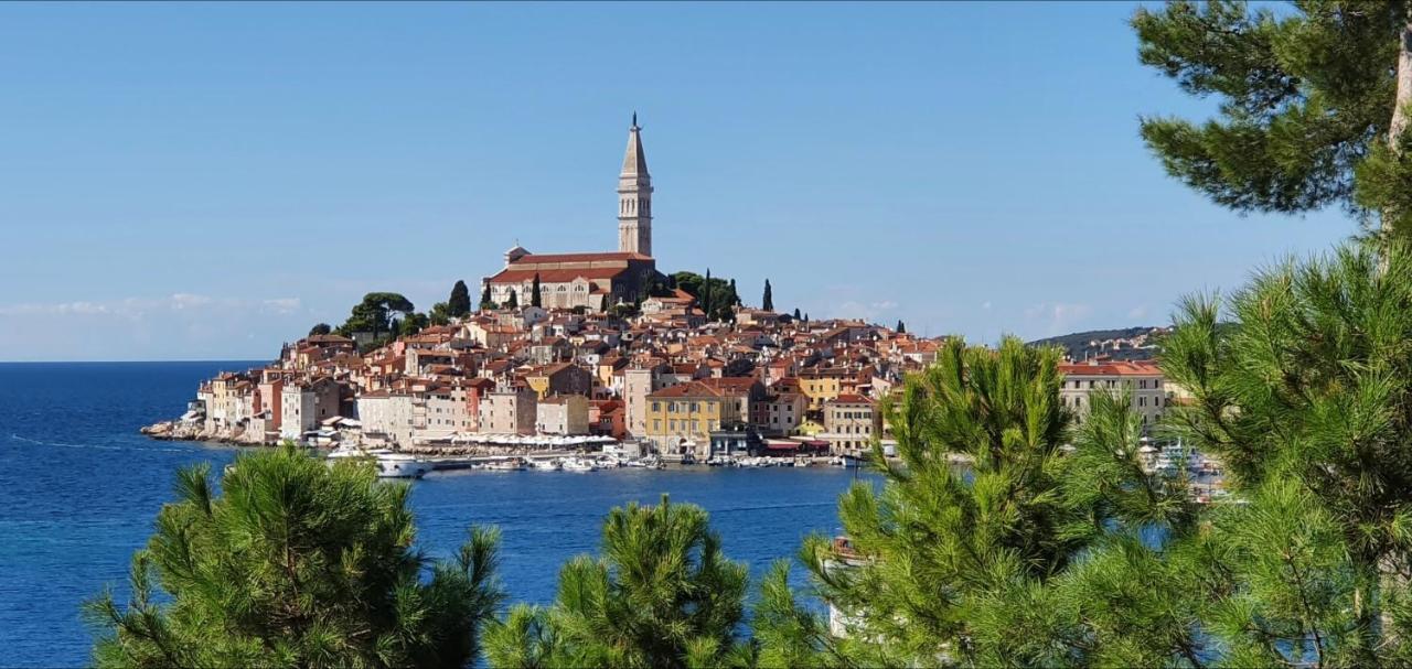 B&B Palace Basilico 1580. Rovinj Eksteriør bilde
